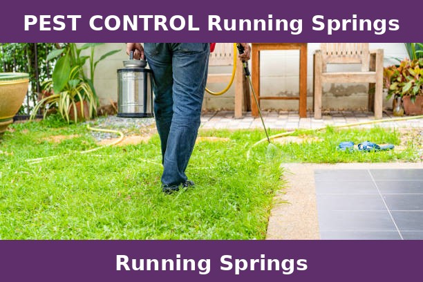 PEST CONTROL Running Springs